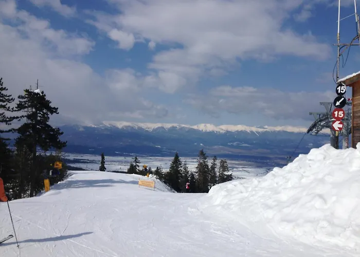 公寓 Evergreen Private 303 班斯科