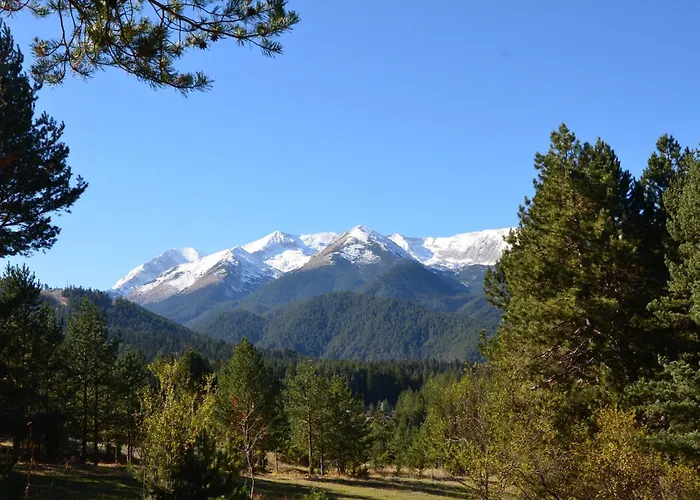 Apartment Evergreen Private 303 Bansko