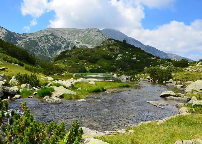 Evergreen Private 303 公寓 *